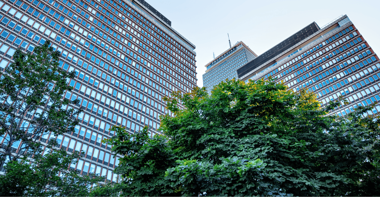 tall buildings and trees